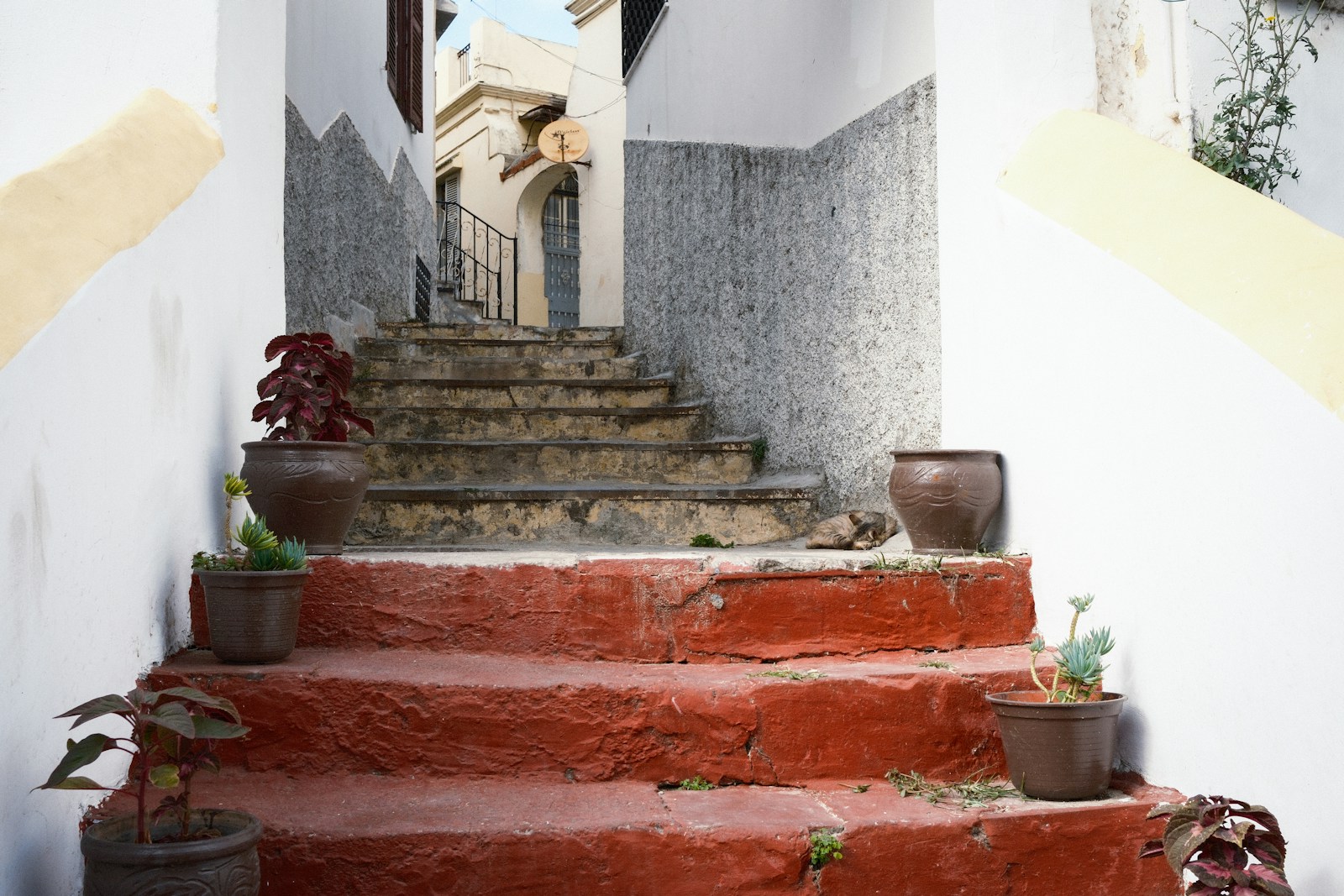 A red staircase between whitewashed walls in Marrakesh